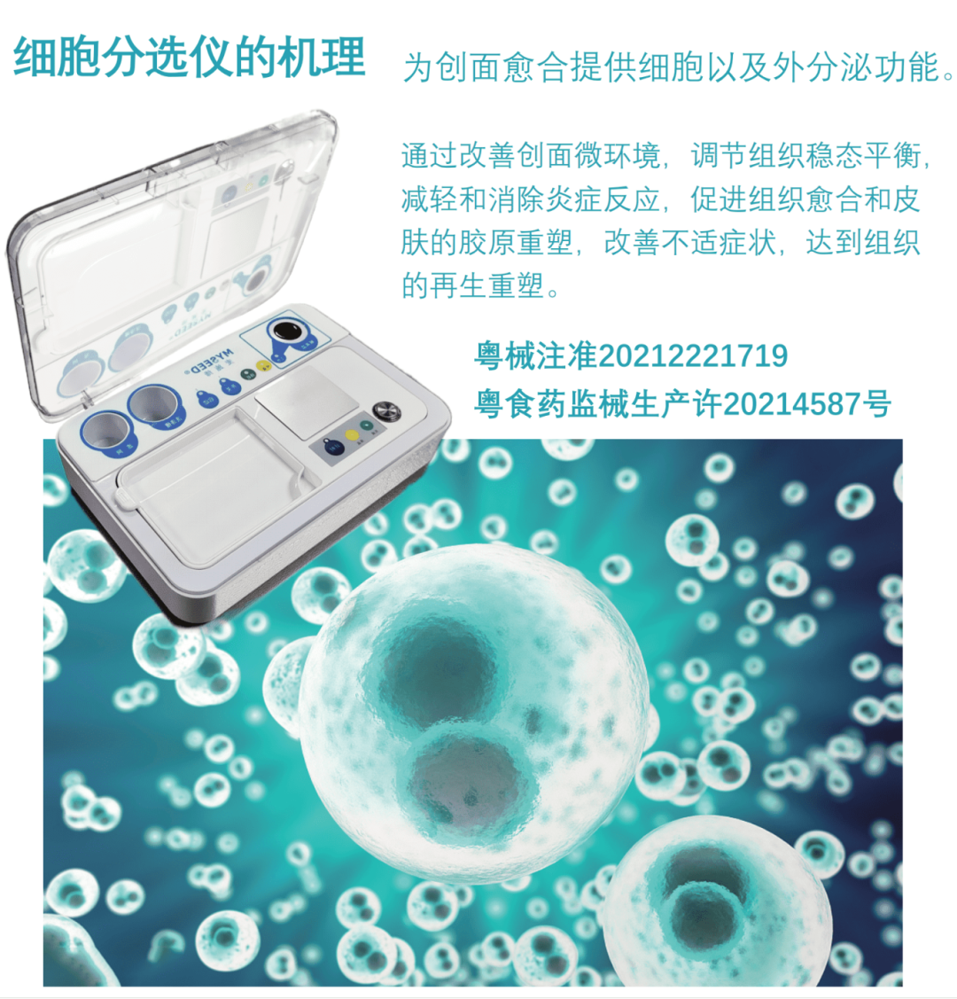 浅谈自体表皮细胞移植技术治疗慢性伤口 - 知乎