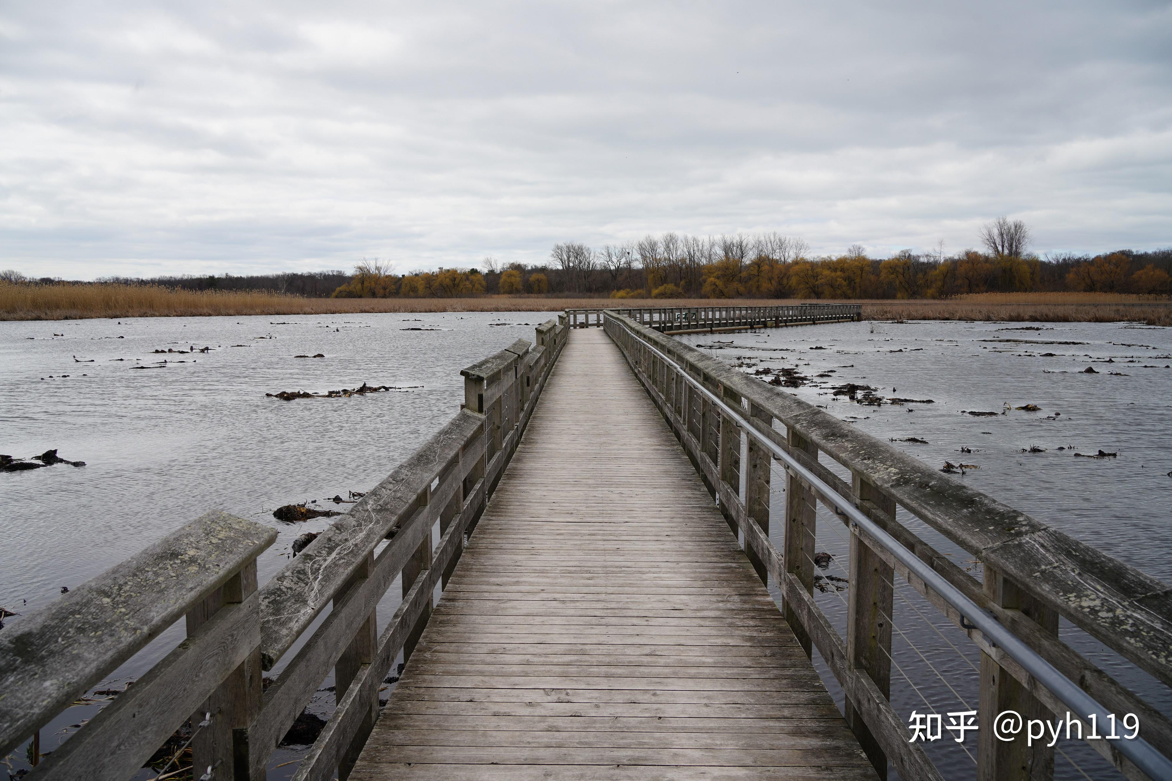 绿水湖畔的黑沼泽皮利角国家公园