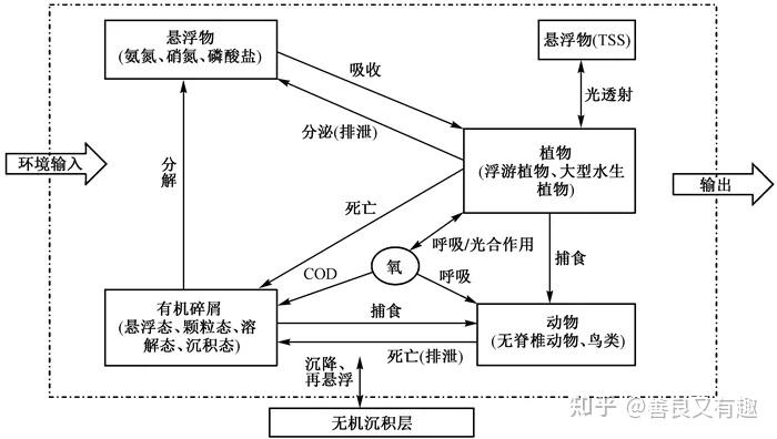 技术推文生态模型在水体富营养化研究领域的应用进展