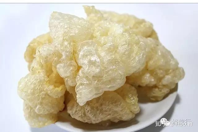 什么是鱼胶 v2-2c8e86089b81862c6b07f3097229ac76_r.jpg