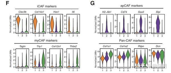 CAFs到底是两个亚群还是三个呢？ - 知乎