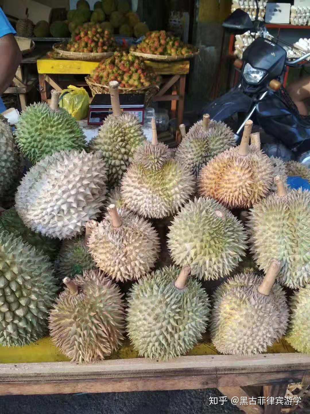 黑古游学菲律宾达沃davao海边学校e&g,亲子课程家长可不上课,托业官方