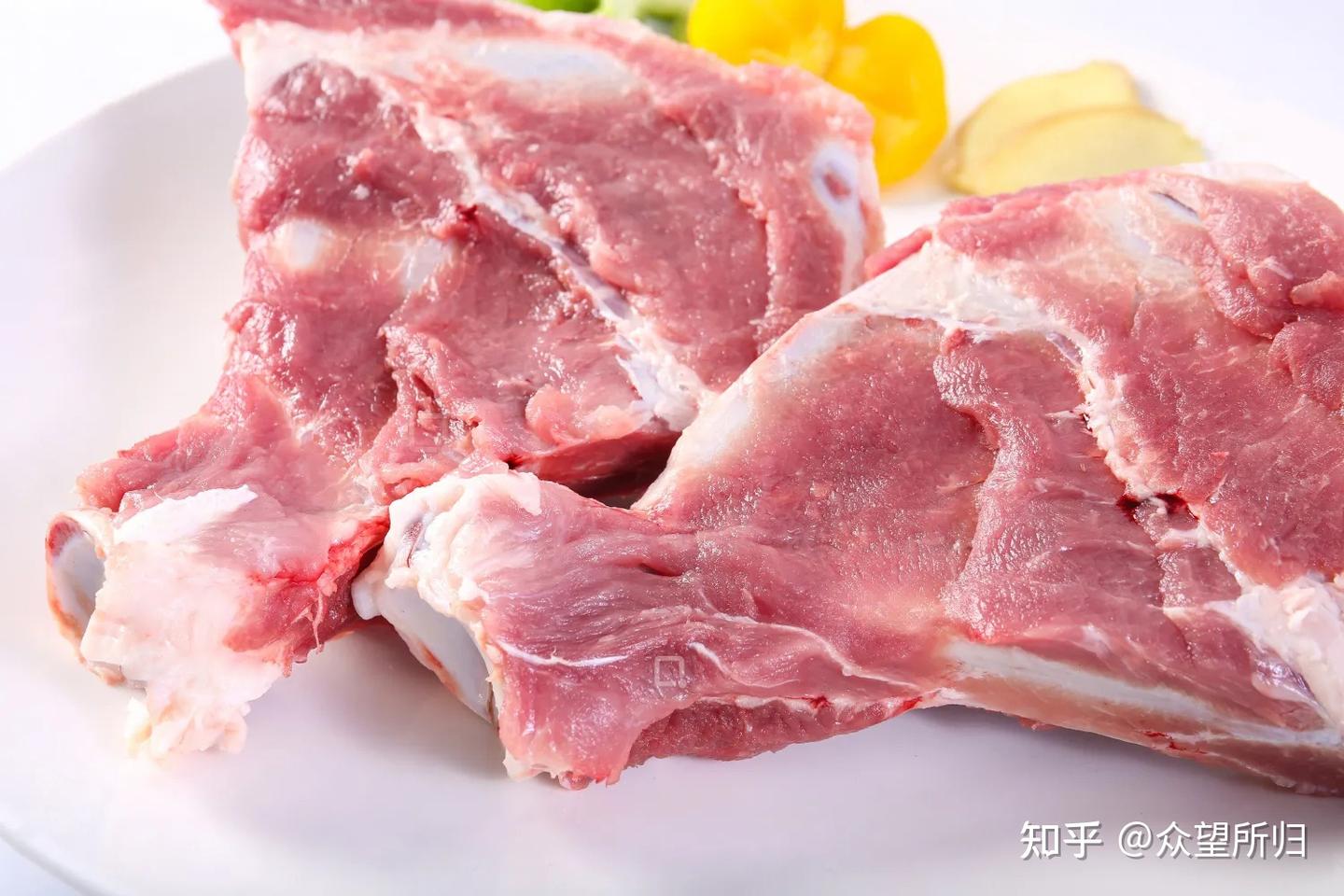 扇骨和筒骨的区别 - 知乎