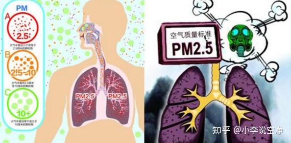 618最新除甲醛的空气净化器哪个牌子好?爆热品牌测评来了!
