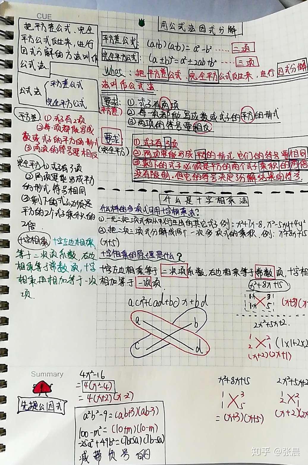 看洋葱视频做康奈尔笔记学生作业展
