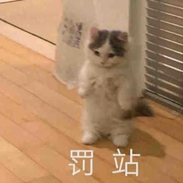 100个可爱表情包 - 知乎