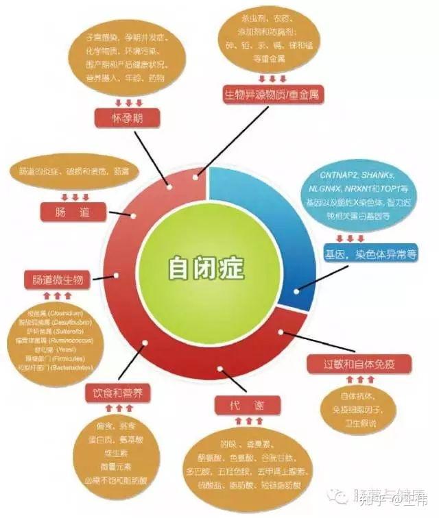 益生菌对自闭症的作用