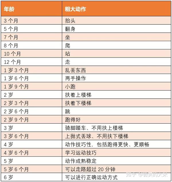 精细动作