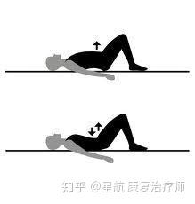前国家队治疗师的体态科普系列|骨盆前后倾？一文全搞定！（上篇） - 知乎