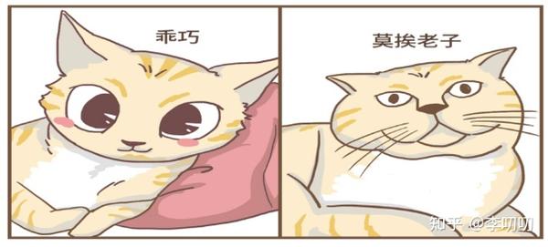 “发腮脸”,你方了吗? - 知乎