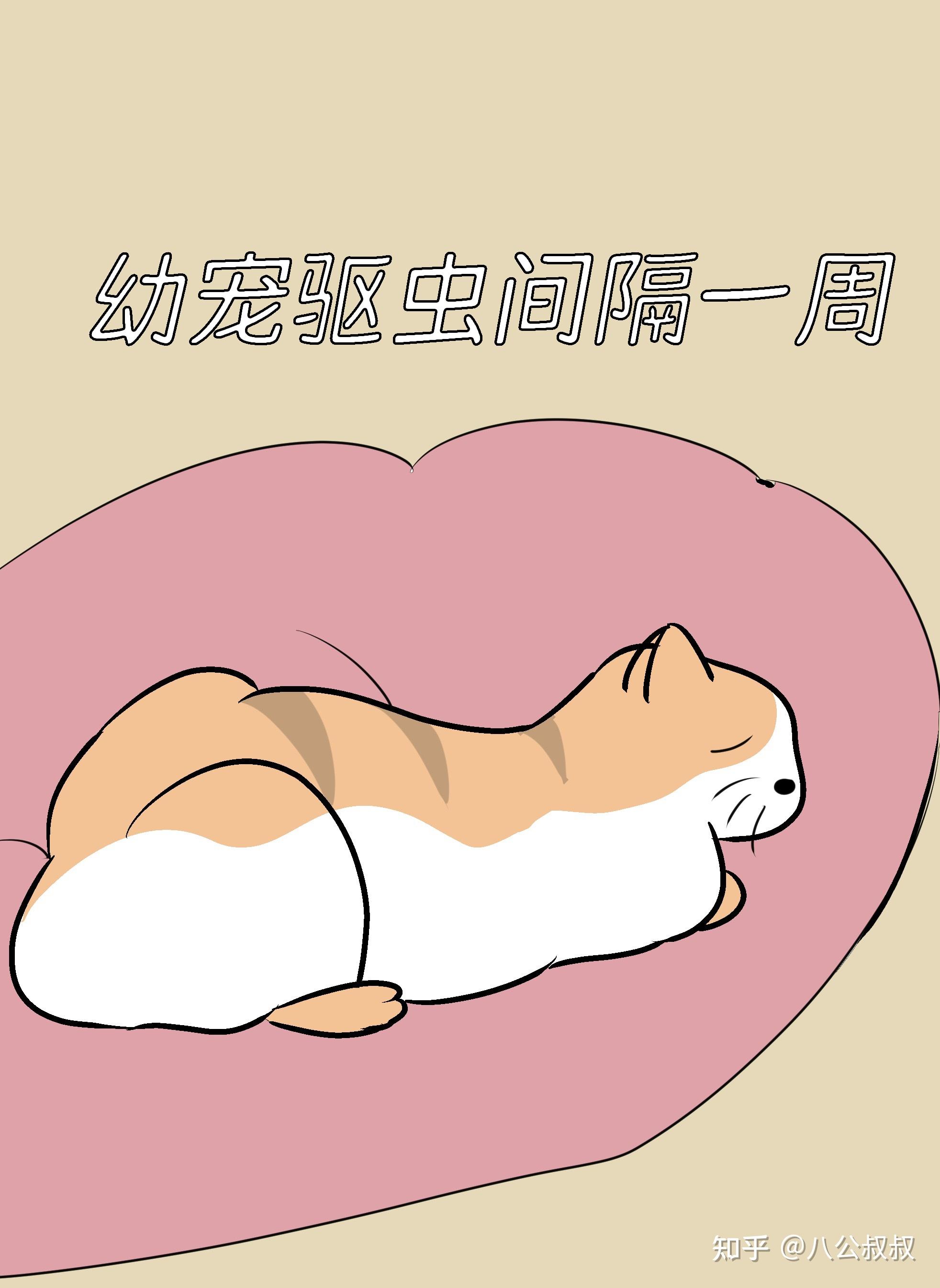 如何选择宠物驱虫药(二)