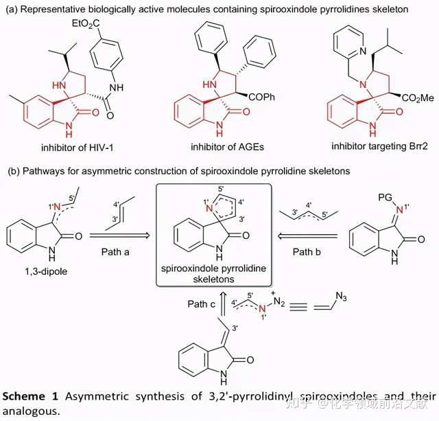 川大冯小明院士课组成功实现了手性吡咯啉氧化吲哚螺环骨架的构建