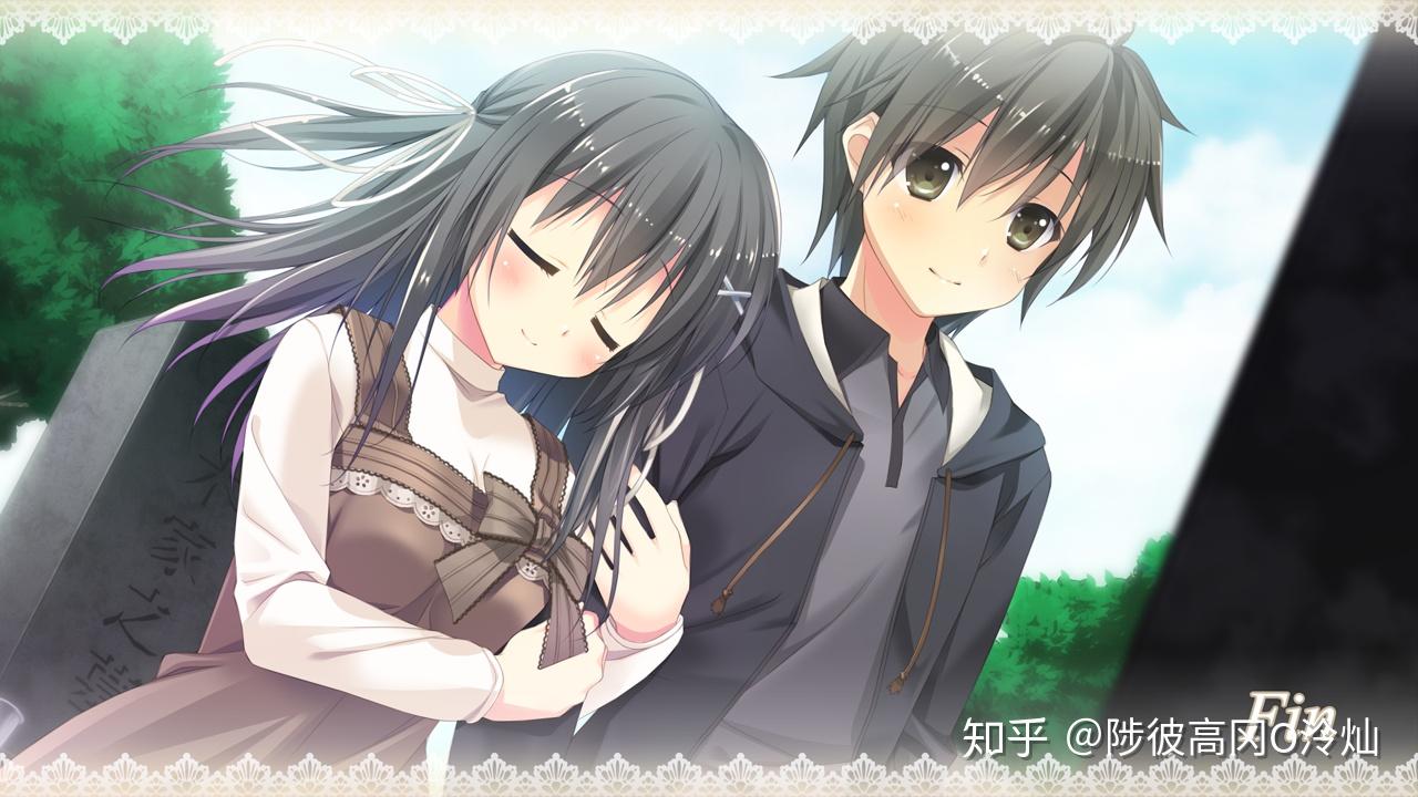 parasol社晴菜花浅谈谨以此留念