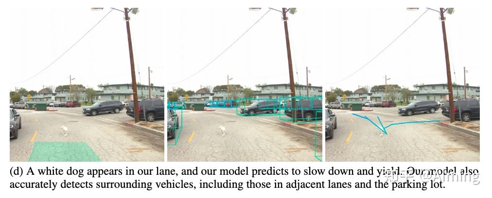 白色的狗 刹停,还是一个比较复杂的路口,驾驶引导线的预测看起来也没有特别大问题。