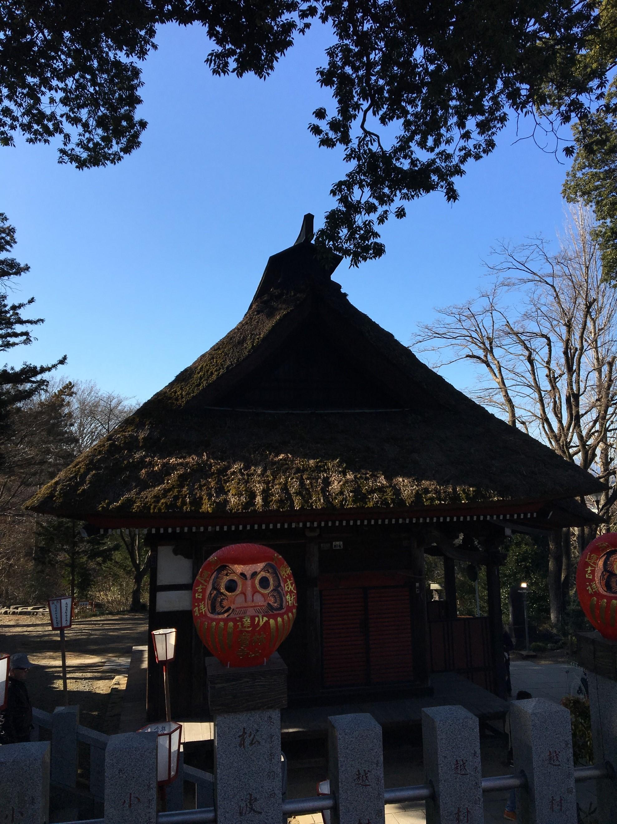 日本秘境之二山林山达摩寺