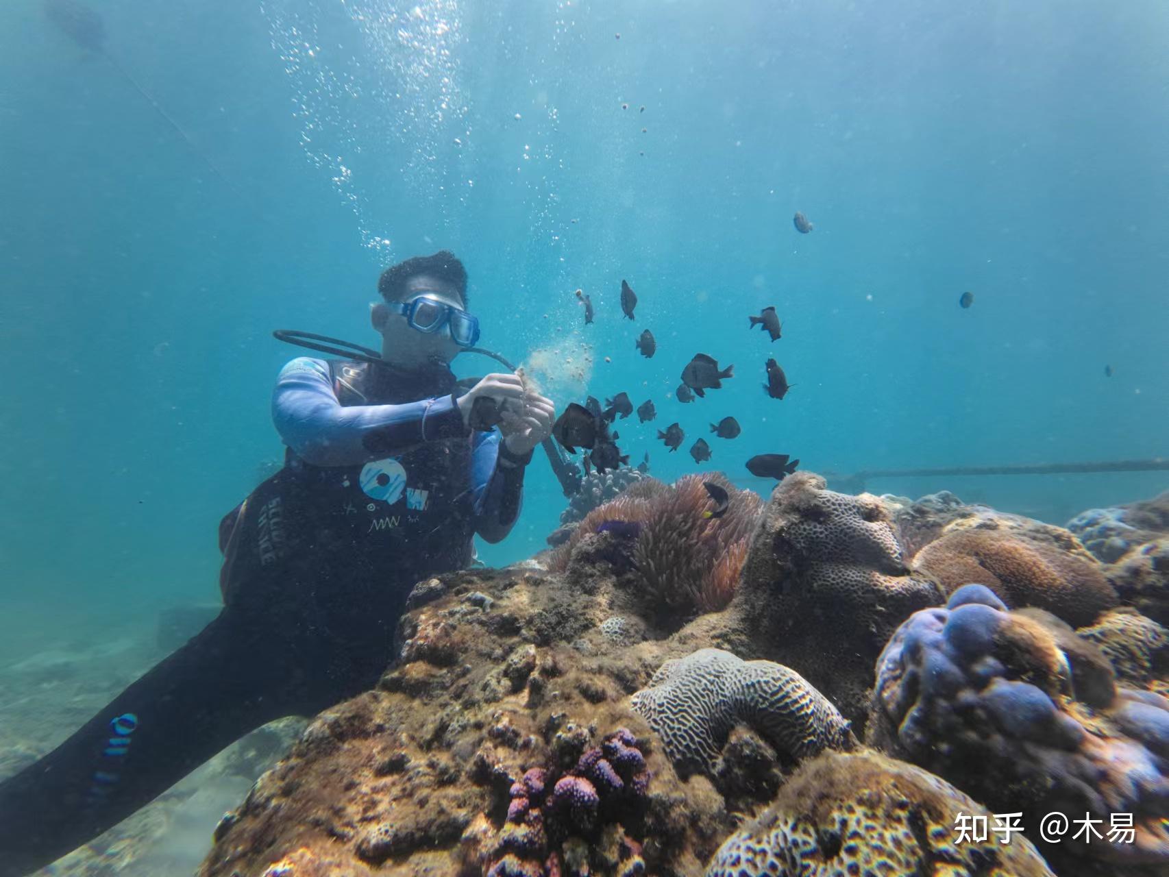 三亚七天六晚游记