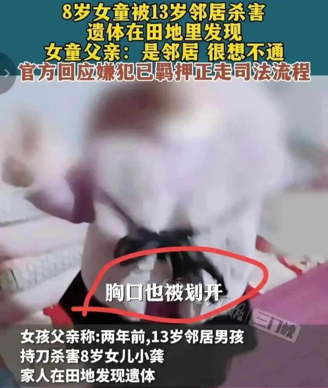 作案之后,他把遗体扔到了田里,长期以来,女孩的父亲一直在网上发声,可