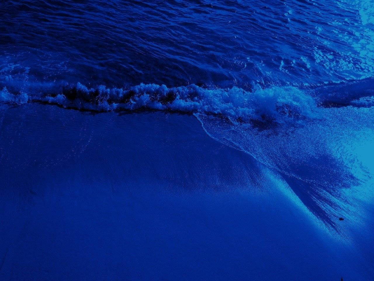 魅蓝Max超美的官方大鱼蓝鲸宣图，做成高清壁纸了！-综合讨论-魅族社区
