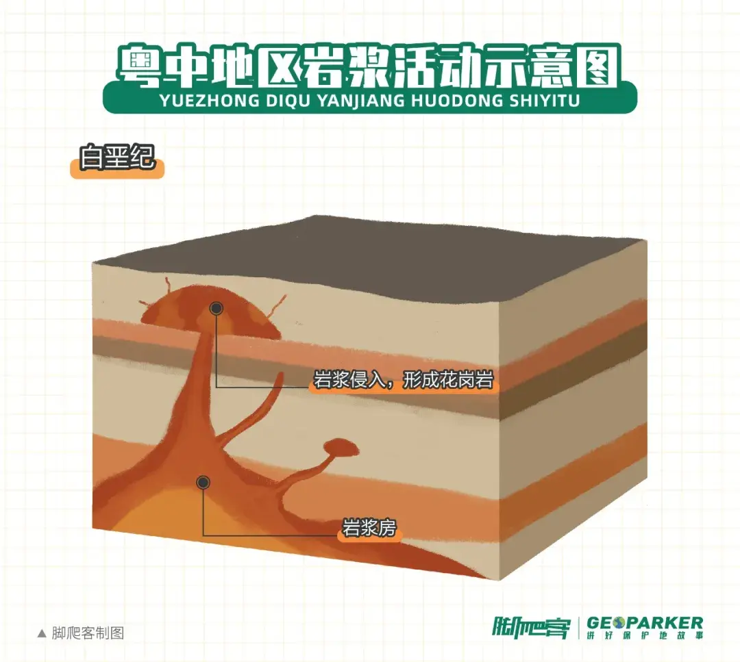 山地到粤中的丘陵再到粤南的平原台地,呈现海拔阶梯式下降的地貌格局