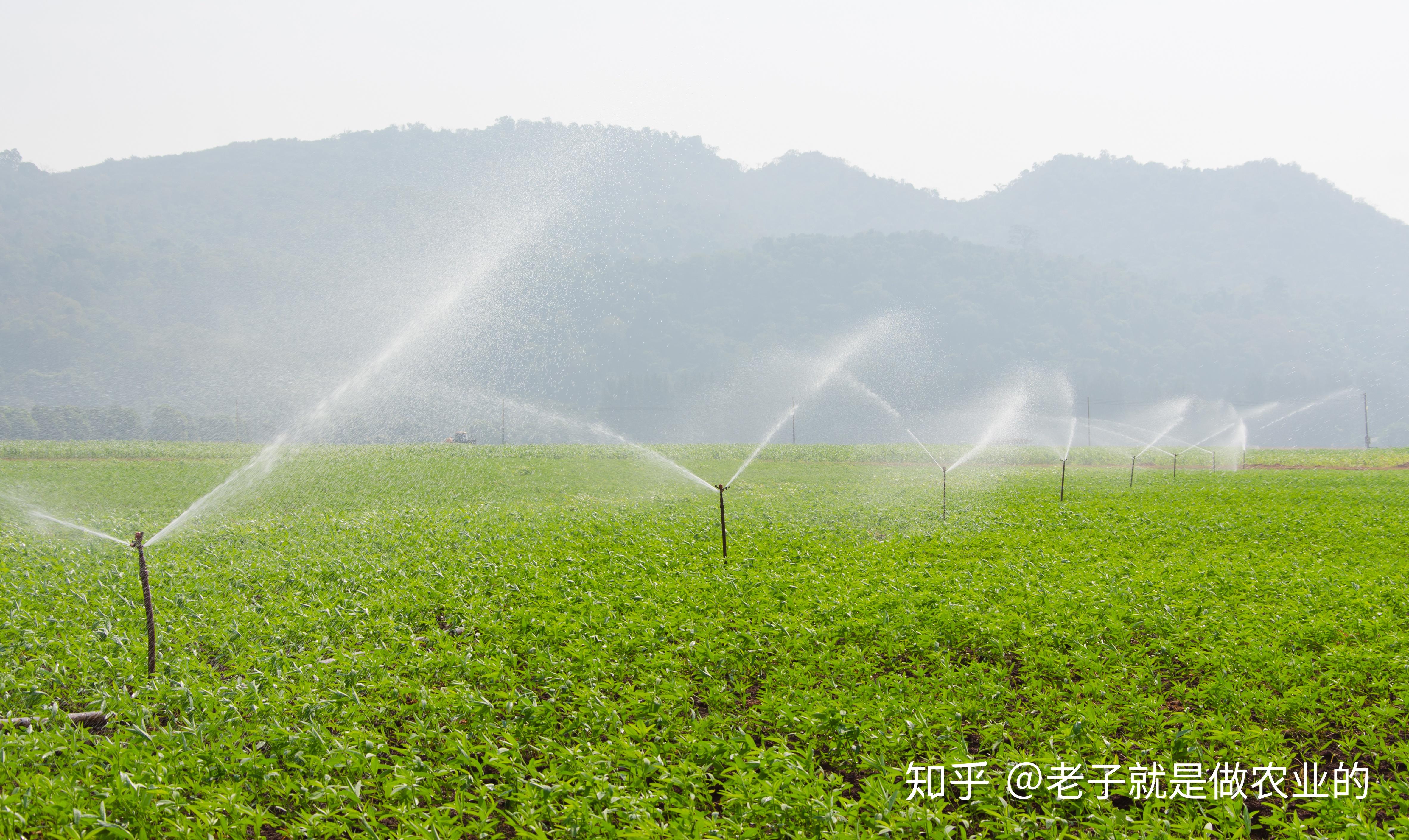 【智慧农业】聚英智能灌溉系统应用，兼容传统灌溉方式，手机一键灌溉__财经头条