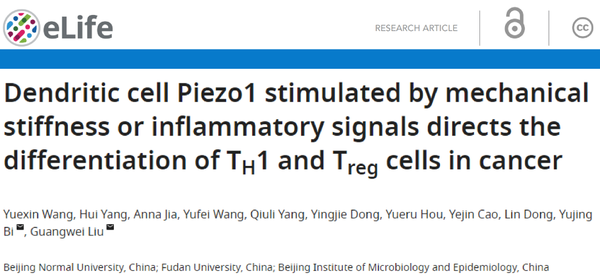 eLife︱刘光伟/毕玉晶团队发现机械力受体PIEZO1肿瘤免疫新机制：调控树突状细胞依赖性T细胞分化 - 知乎