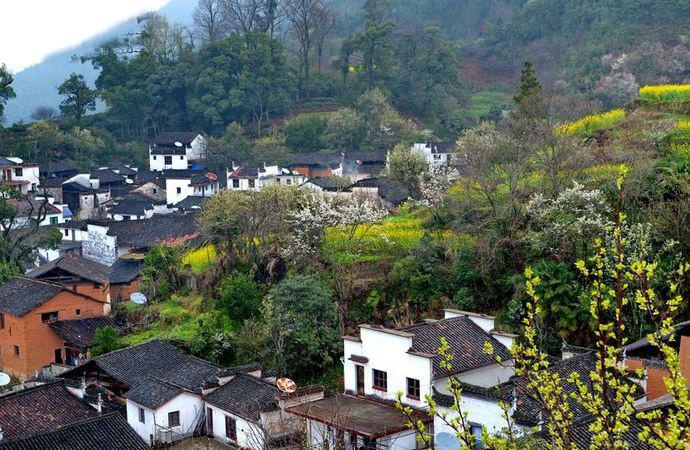 婺源查平坦一个人少油菜花极美的古村落