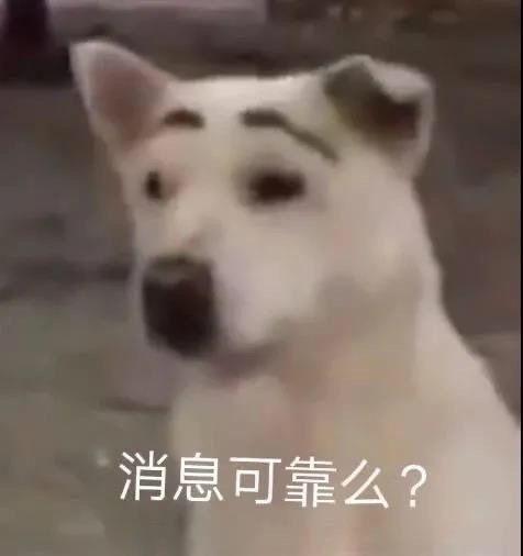 v2-2d9bcc1c9203b961f426b6ddab84a2c6_r.jpg