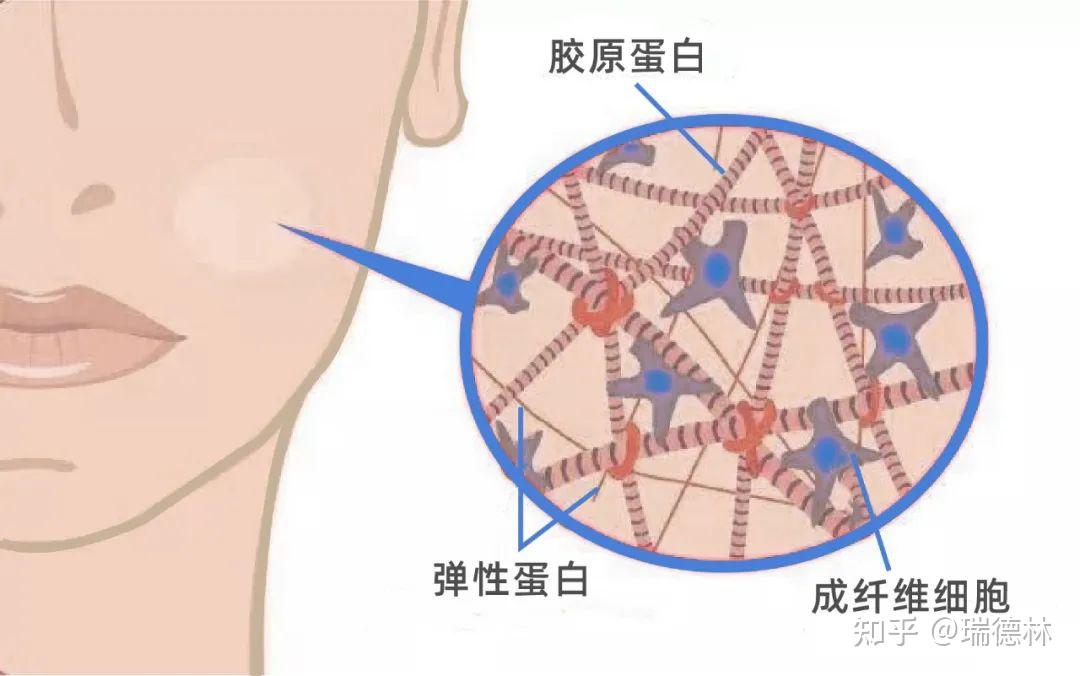 健康百科丨當我們抗糖化時究竟在抗些什麼