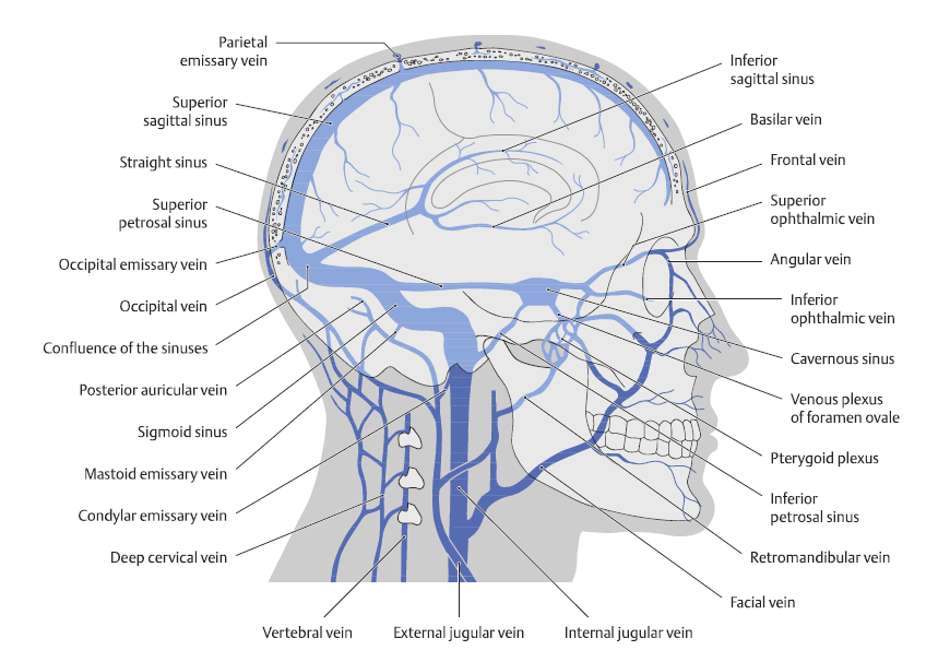 美剧mondaymornings启示四硬脑膜静脉窦血栓duralsinusthrombosisdst