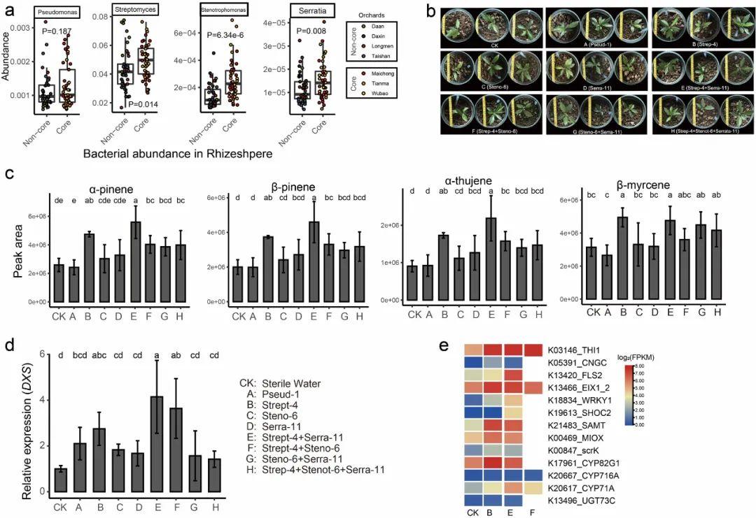 与华大生命科学研究院合作在国际学术期刊microbiome发表了题为"soil