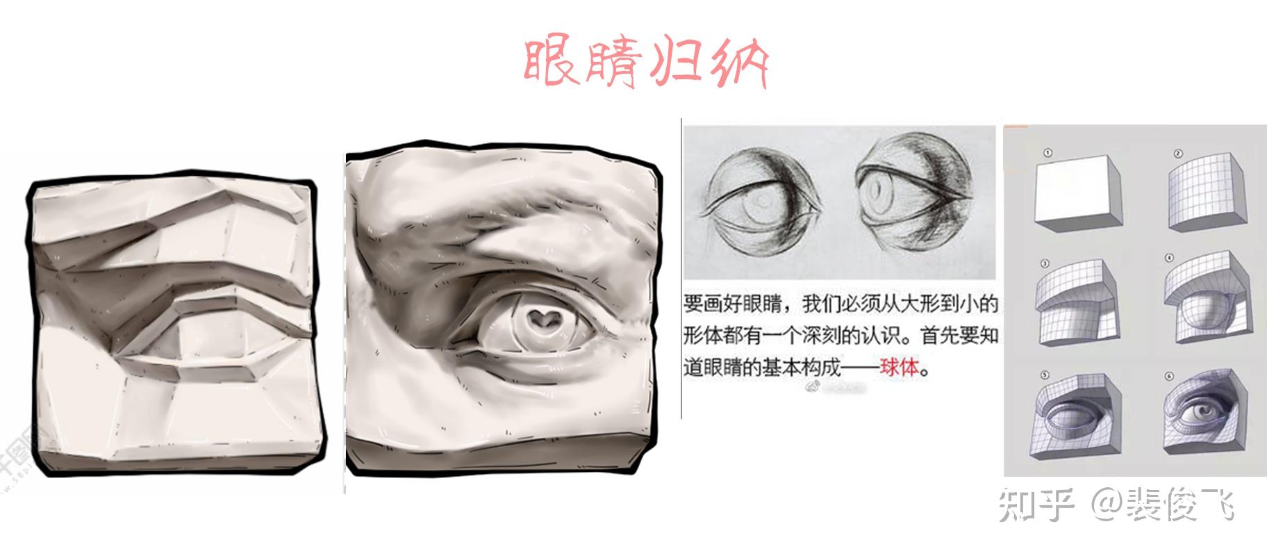 石膏眼睛结构名称图片