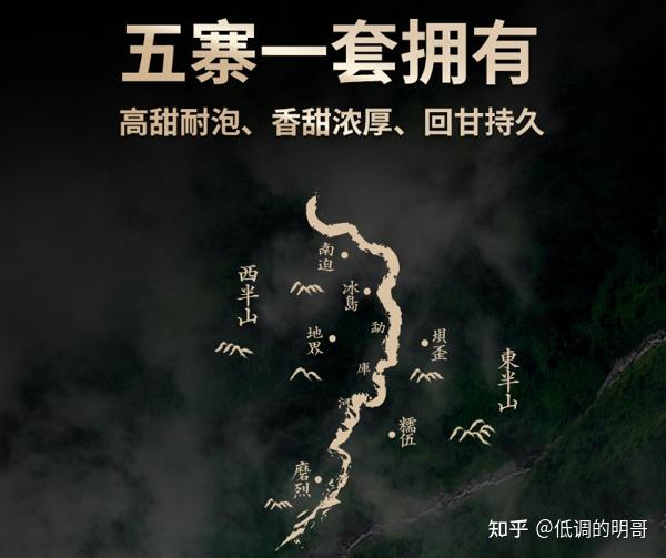 年度底价年度仅一次囤春茶的好机会2024年普洱生茶春茶