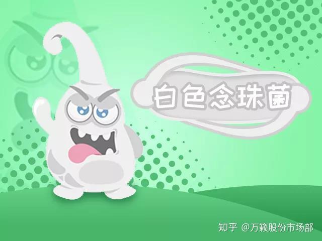 敌菌2号——金黄色葡萄球菌