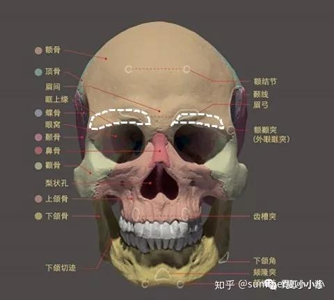 实操案例-禁得起折腾的脸都有个好看又自然眉骨- 知乎