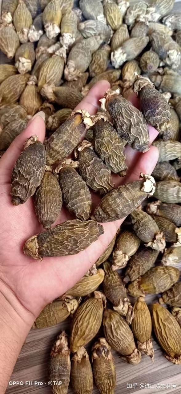 印尼槟榔干果进口规范报关:槟榔果清关资料,进口关税税率和商品税则