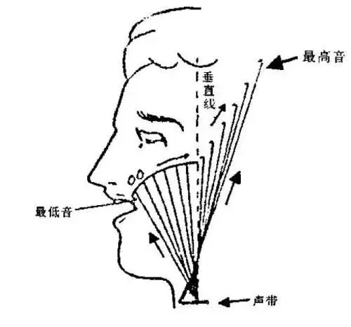 合唱排练技巧发声练习