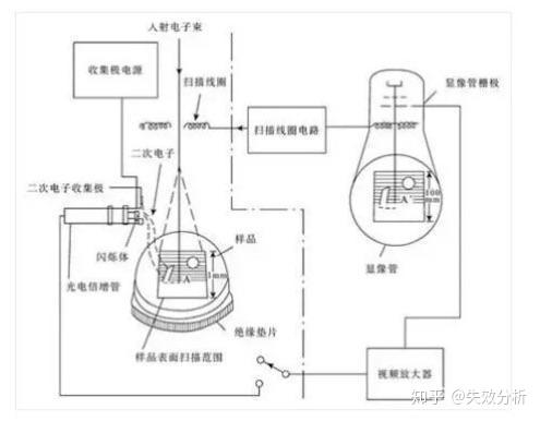 扫描电子显微镜sem科普介绍 知乎 