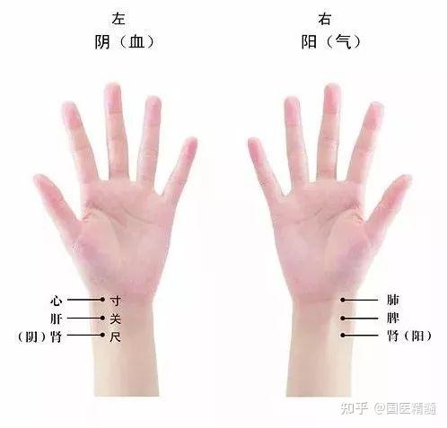 中医如何教你“把脉” - 知乎