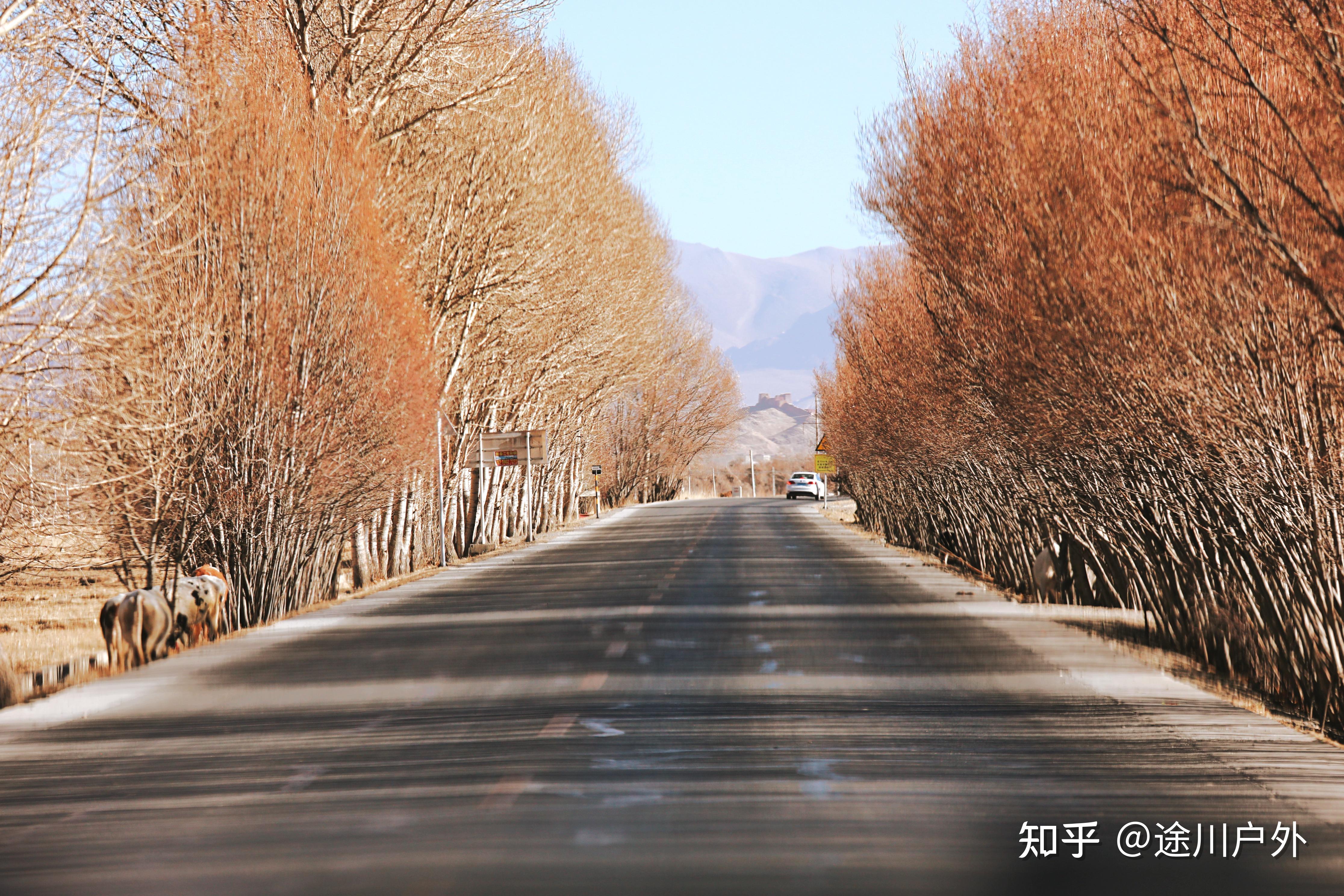 西藏3条经典自驾路线,公路美极了,司机都喜欢,真实路况如何?