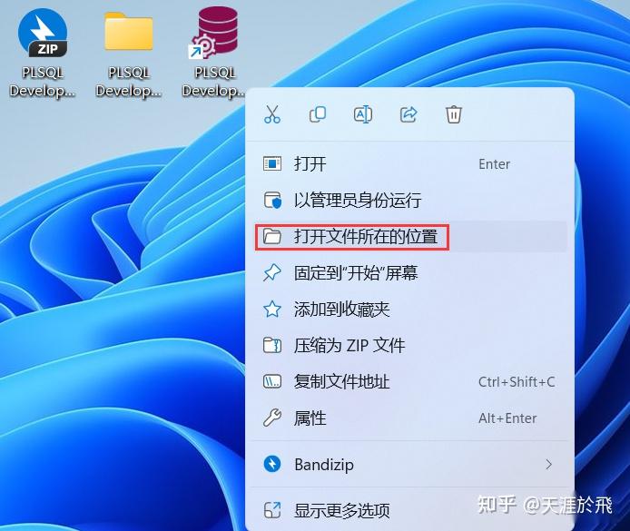 PLSQL Developer 14软件包下载附安装教程 - 知乎