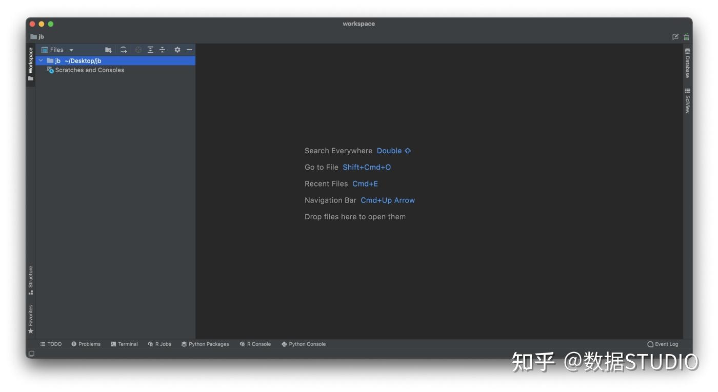 dataspell for r dataspell for r