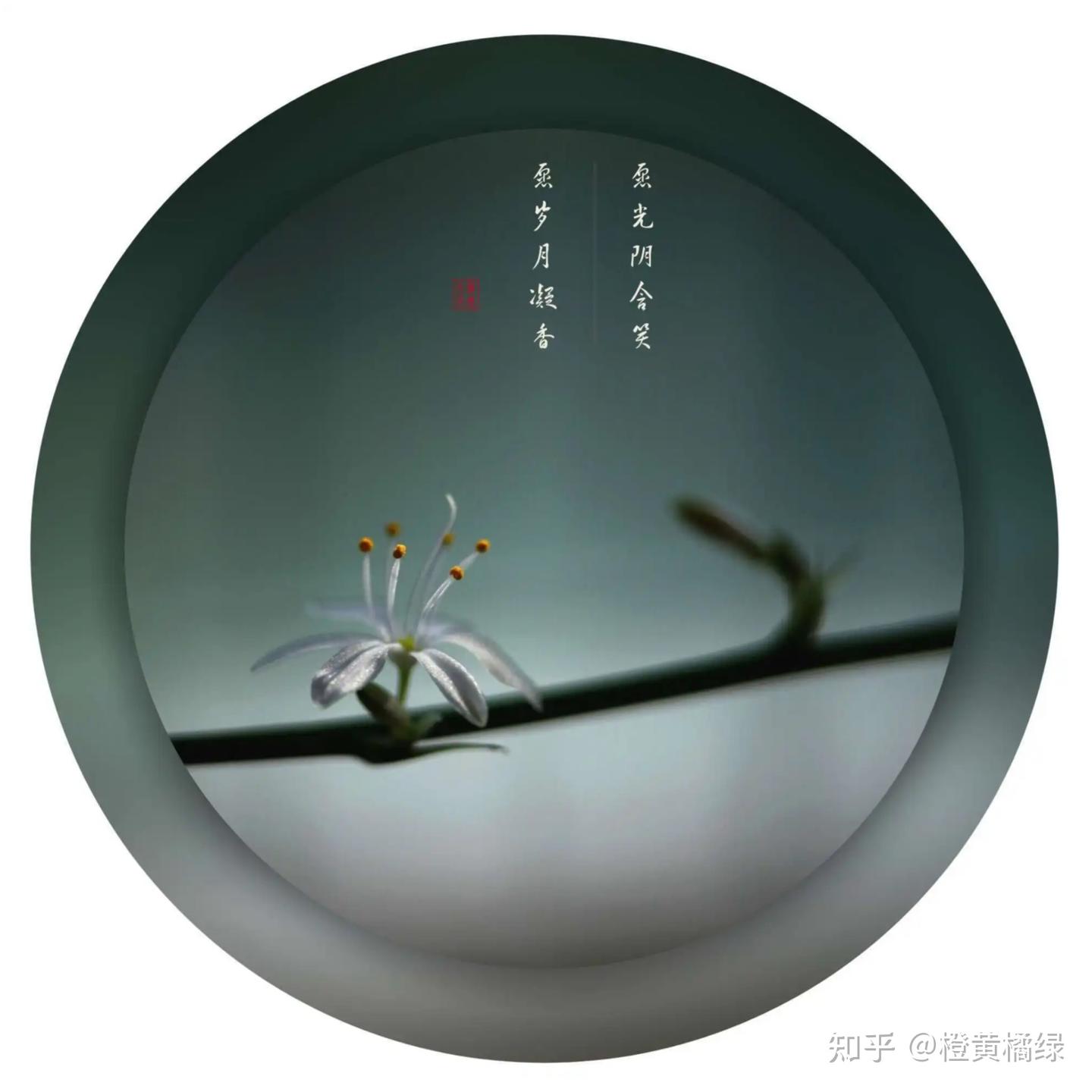 作文开头描写时光飞逝的句子 - 知乎