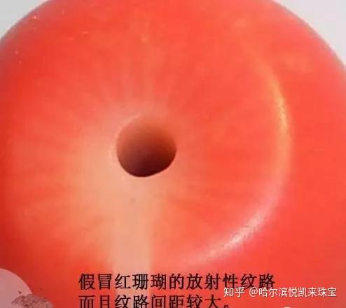红珊瑚详解这篇足以拿出手了