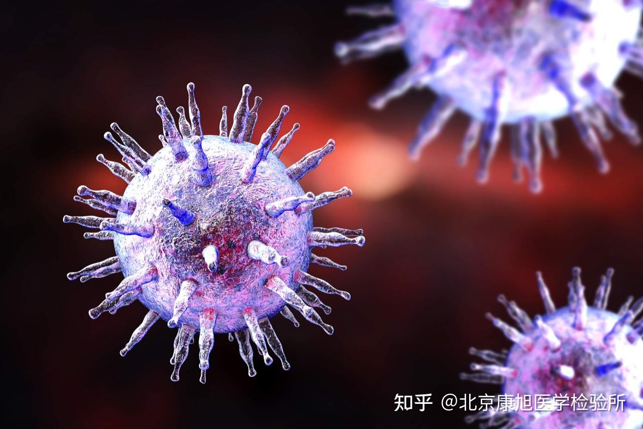 普通流感病毒--中国数字科技馆