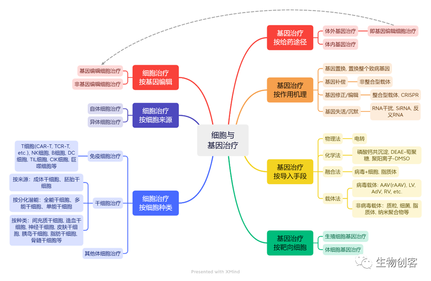 火爆的细胞与基因治疗领域涉及哪些工艺技术路线