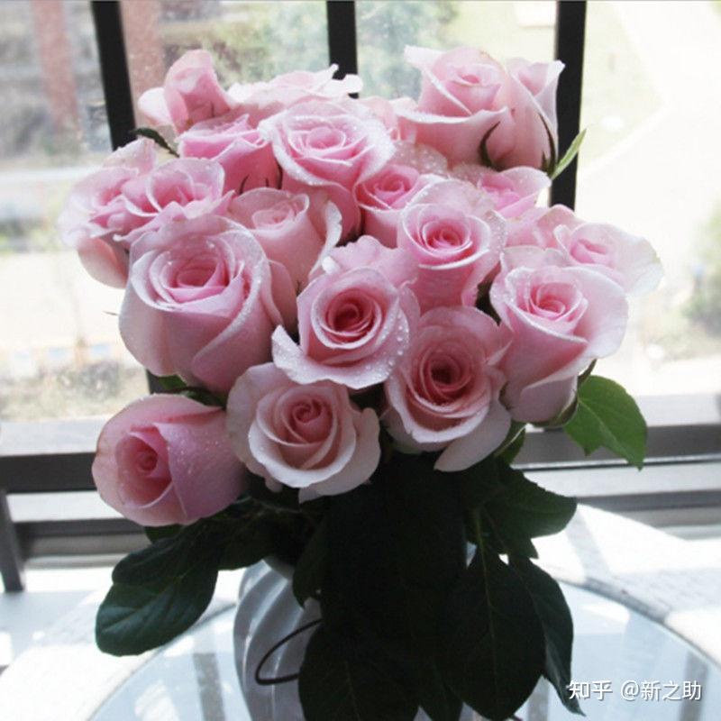 朦胧的朱迪:胜利女神:海洋之歌:另外,洛神,国王日,冷美人,金香玉,以及