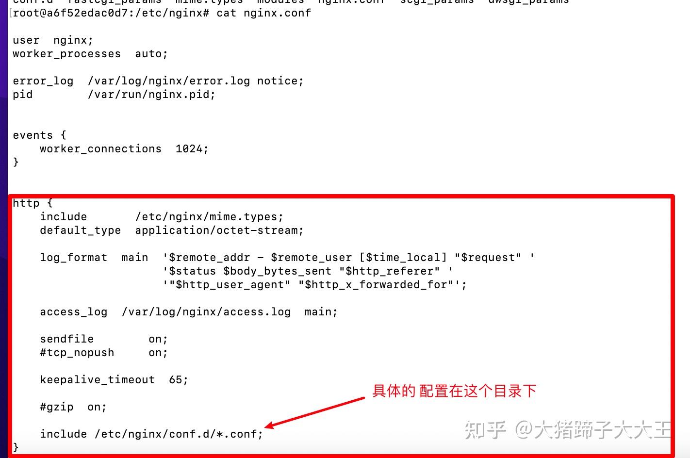 Nginx 