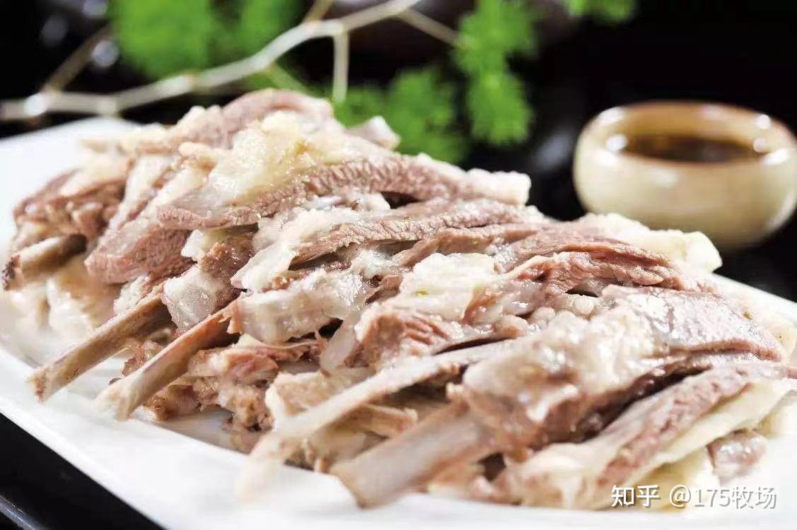 带你了解盐池滩羊 - 知乎