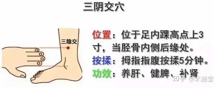 关于保养养生的很重要的一个穴位三阴交穴你了解多少