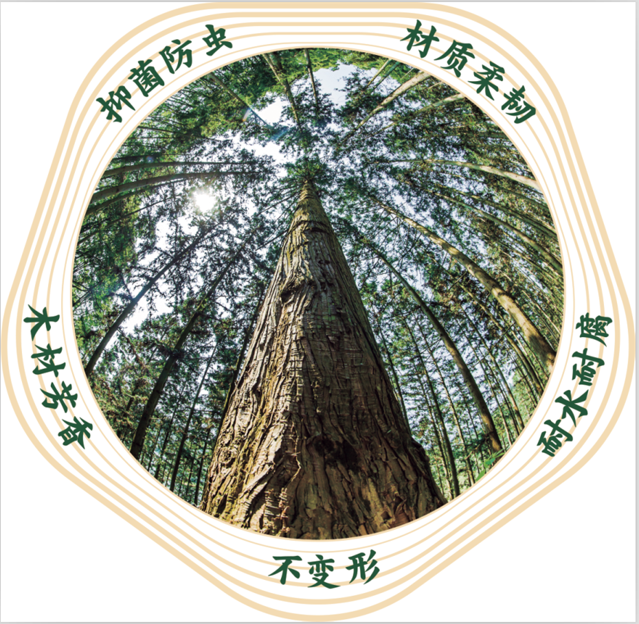 香杉是一种树木,俗称杉木,香杉木属常绿乔木,高可达30米,胸径3米